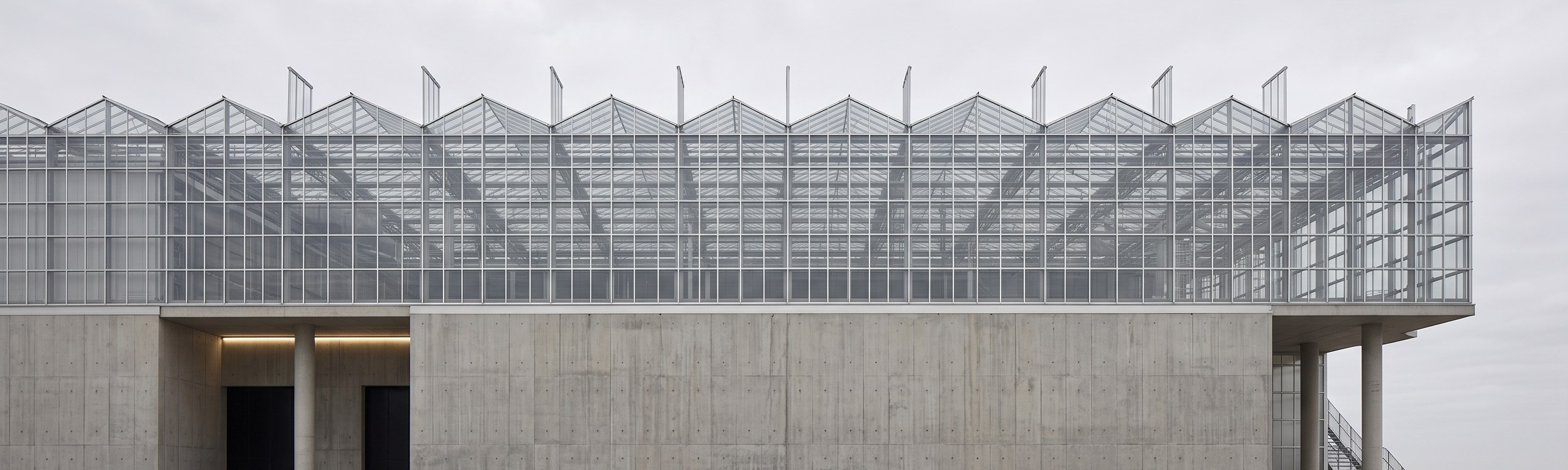 a north light sawtooth glasshouse rising above a board formed concrete base under an overcast sky.